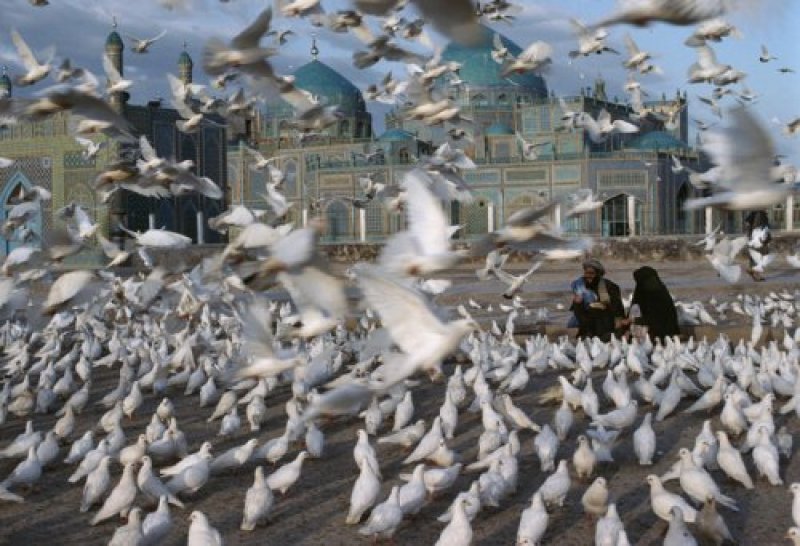 Blue Mosque