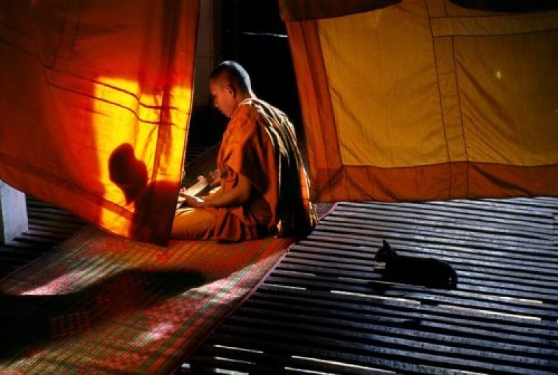 Monk Praying